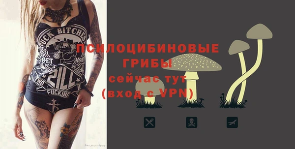 не бодяженный Краснотурьинск