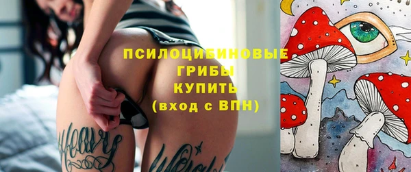 не бодяженный Краснотурьинск