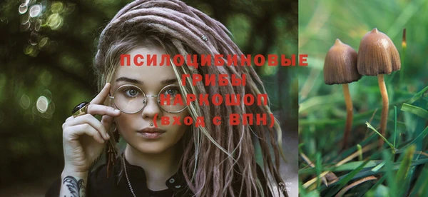 не бодяженный Краснотурьинск