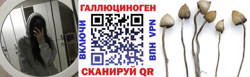 Галлюциногенные грибы мухоморы  Купить закладки  Бузулук 